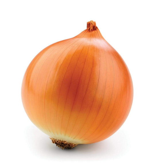 Oignon