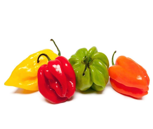 Piment ordinaire