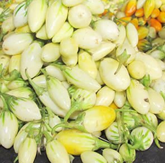 Aubergines
